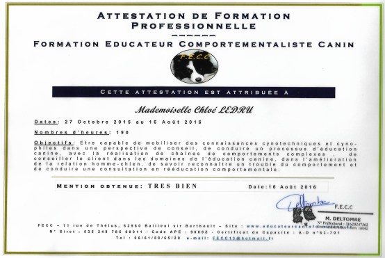 attestation formation