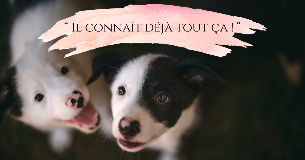 &laquo;&nbsp;Il connaît déjà tout ça&nbsp;!&nbsp;&raquo;