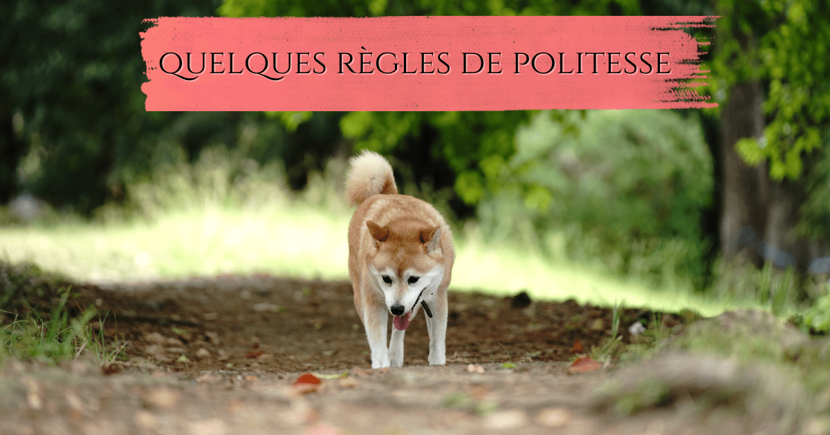 Quelques règles de&nbsp;politesse