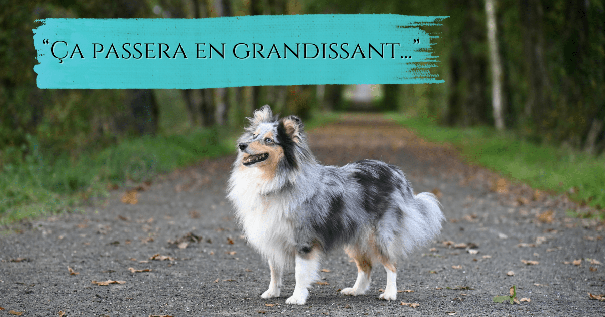 &nbsp;&raquo; Ça passera en grandissant…&nbsp;&raquo;